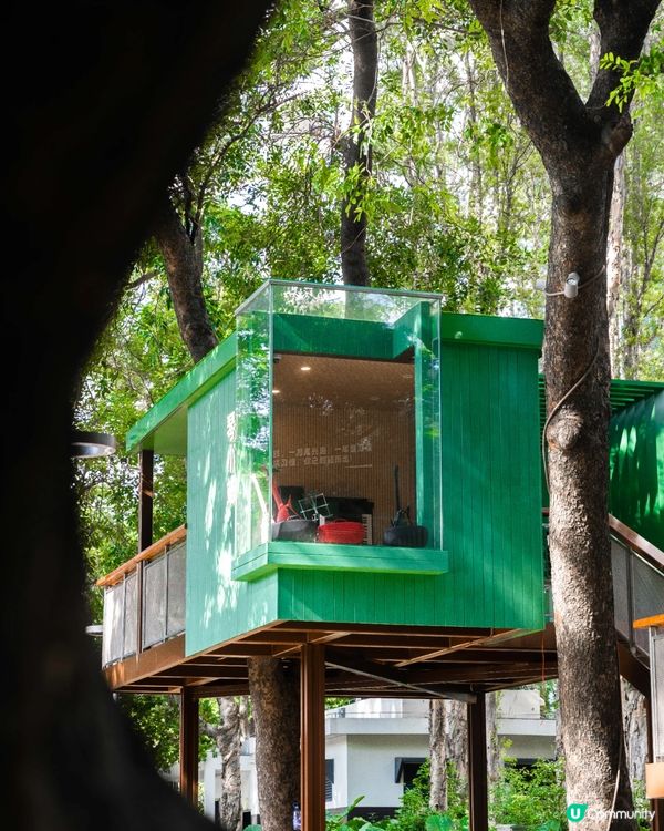 深圳福田24小時「樹屋琴房」🌳音樂愛好者必去🎶1小時¥15勁抵