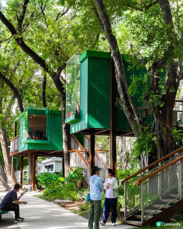 深圳福田24小時「樹屋琴房」🌳音樂愛好者必去🎶1小時¥15勁抵