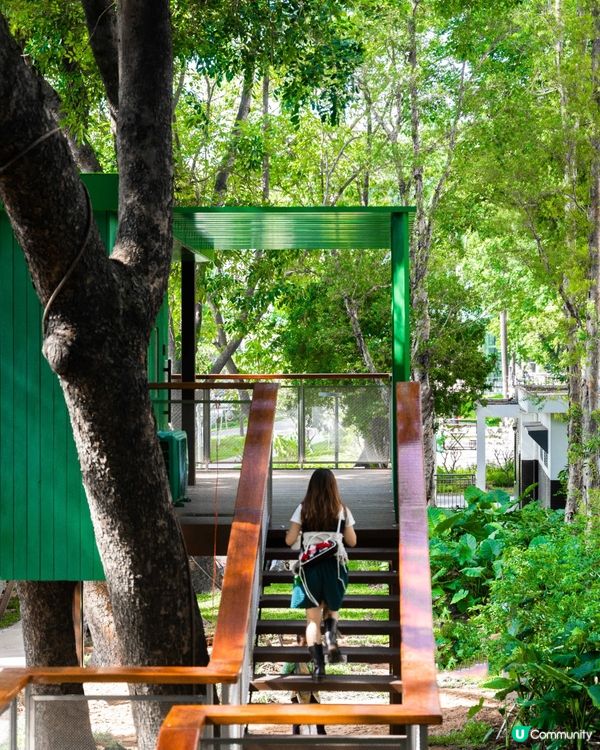 深圳福田24小時「樹屋琴房」🌳音樂愛好者必去🎶1小時¥15勁抵