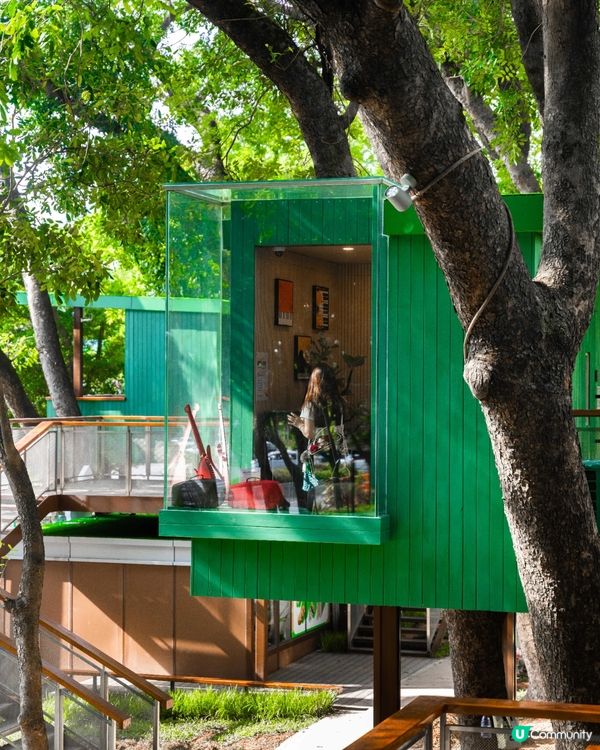 深圳福田24小時「樹屋琴房」🌳音樂愛好者必去🎶1小時¥15勁抵