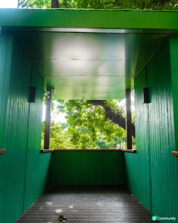 深圳福田24小時「樹屋琴房」🌳音樂愛好者必去🎶1小時¥15勁抵