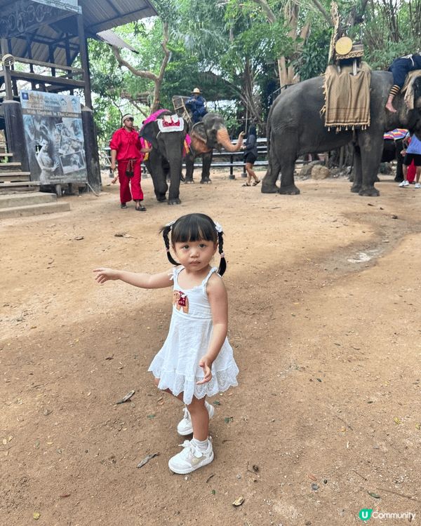 11月真係旅行嘅季節，