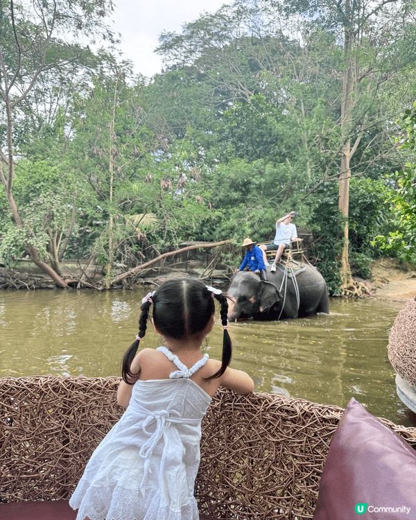 11月真係旅行嘅季節，