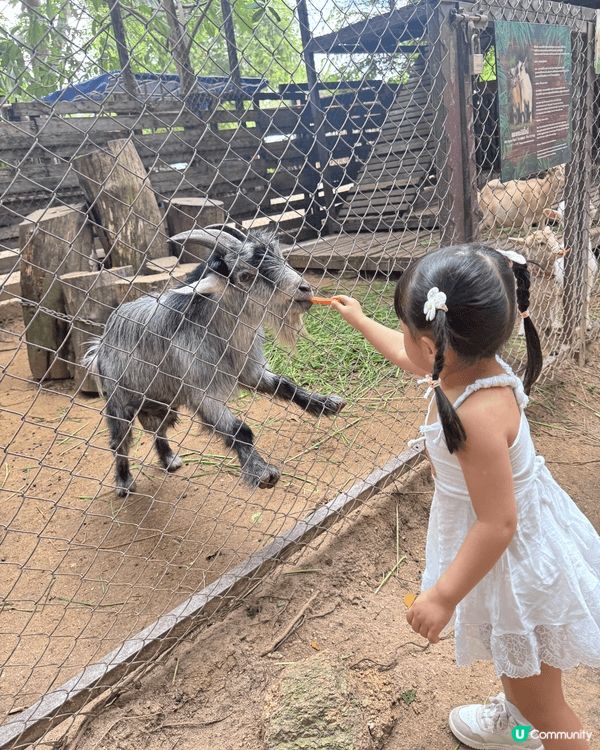 11月真係旅行嘅季節，