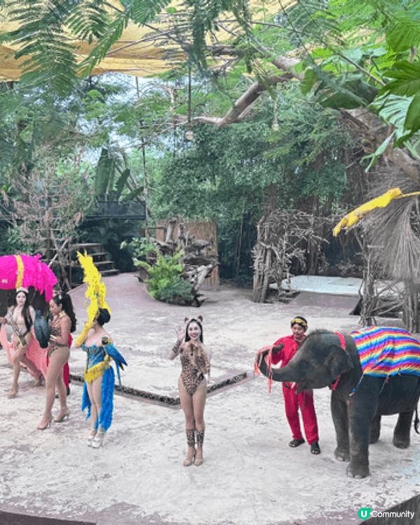 11月真係旅行嘅季節，