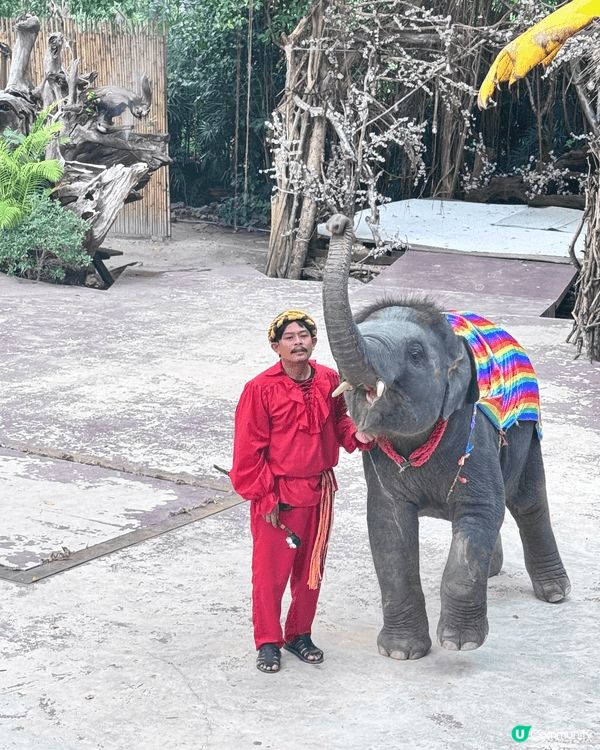 11月真係旅行嘅季節，