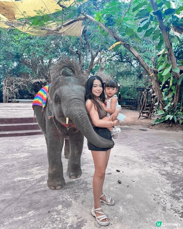 11月真係旅行嘅季節，