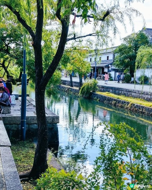 岡山小京都 小橋 流水 柳枝 美不勝收