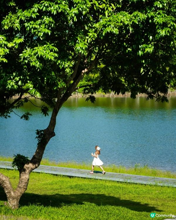 深圳必去2間湖景公園Cafe☕️愜意嘆咖啡之餘影相打卡一流📷