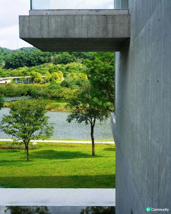 深圳必去2間湖景公園Cafe☕️愜意嘆咖啡之餘影相打卡一流📷
