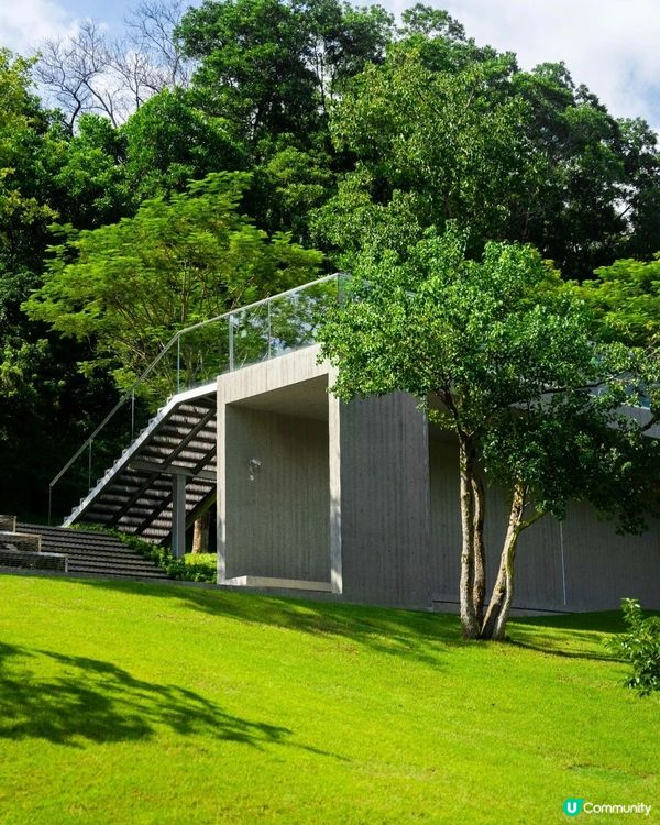 深圳必去2間湖景公園Cafe☕️愜意嘆咖啡之餘影相打卡一流📷