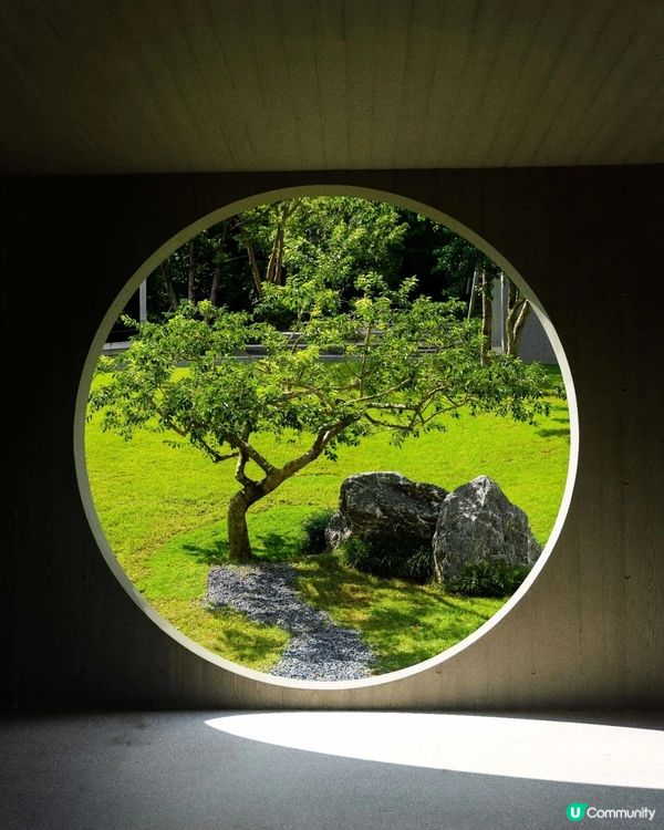 深圳必去2間湖景公園Cafe☕️愜意嘆咖啡之餘影相打卡一流📷