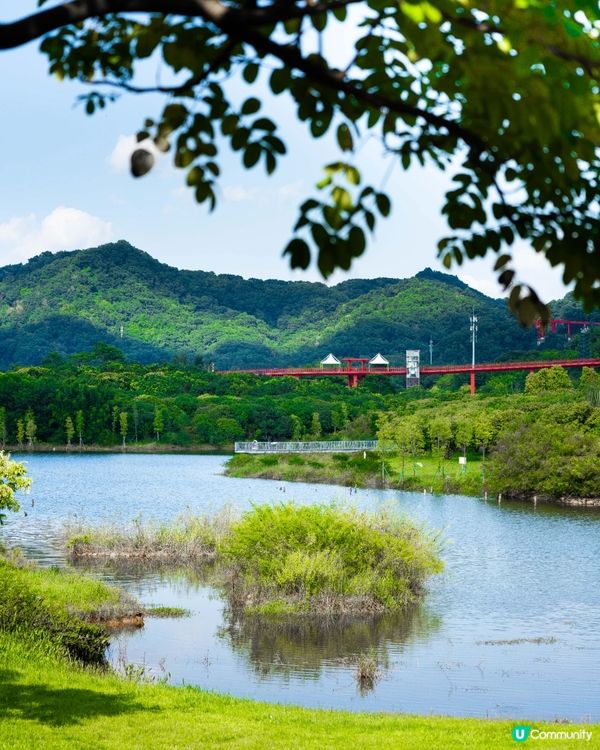 深圳必去2間湖景公園Cafe☕️愜意嘆咖啡之餘影相打卡一流📷