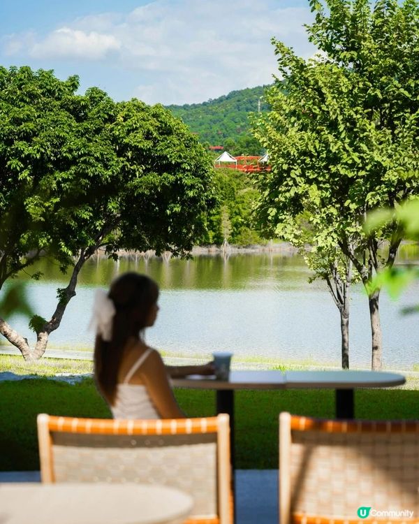 深圳必去2間湖景公園Cafe☕️愜意嘆咖啡之餘影相打卡一流📷