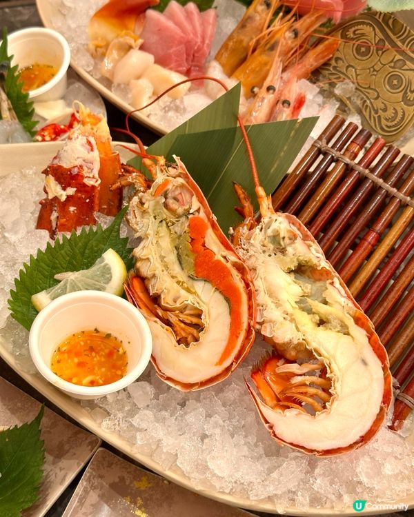 狂刷波士頓龍蝦🦞稱霸放題界🏆