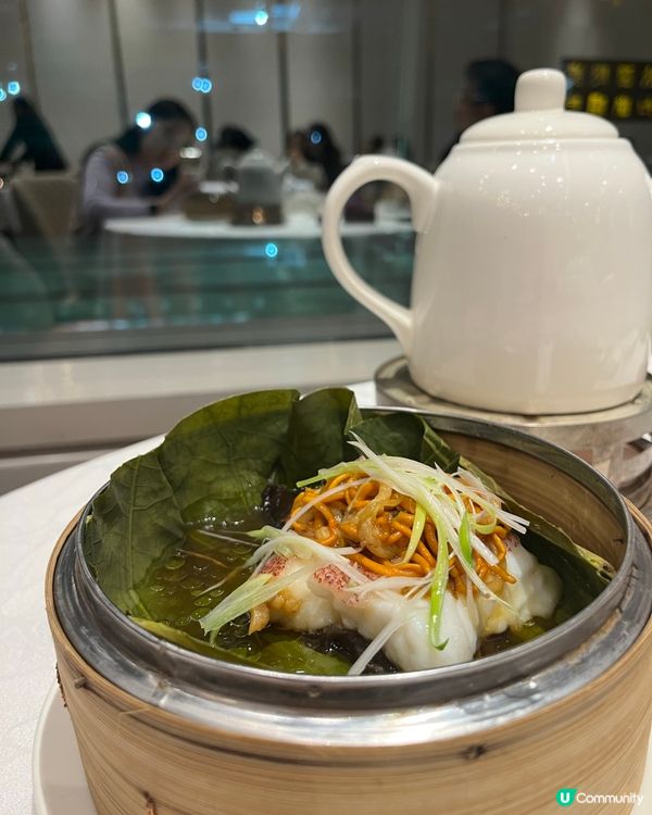 國金軒五蛇宴🤤！八道菜超滿足！😋