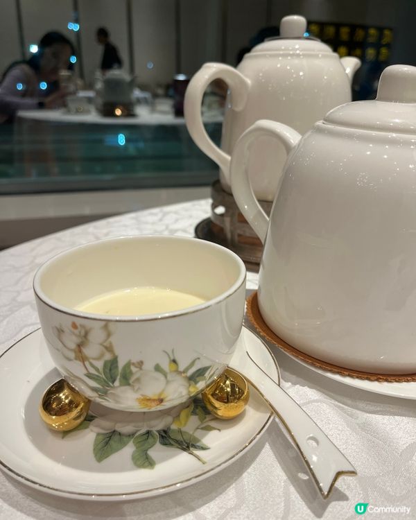 國金軒五蛇宴🤤！八道菜超滿足！😋