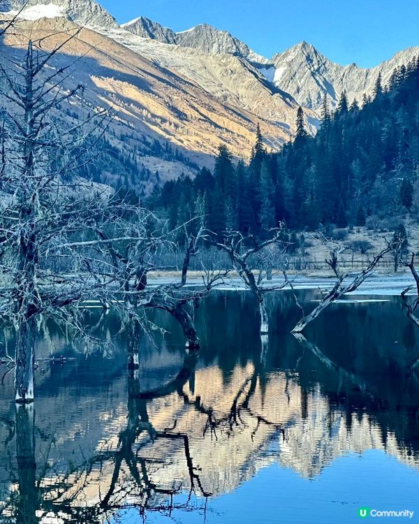 ❄️雪山之旅，銀河星空下療癒身心！