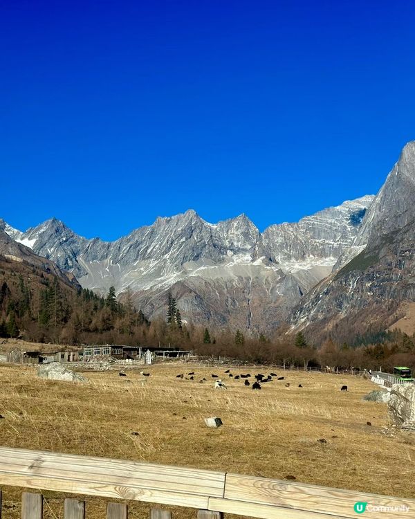 ❄️雪山之旅，銀河星空下療癒身心！