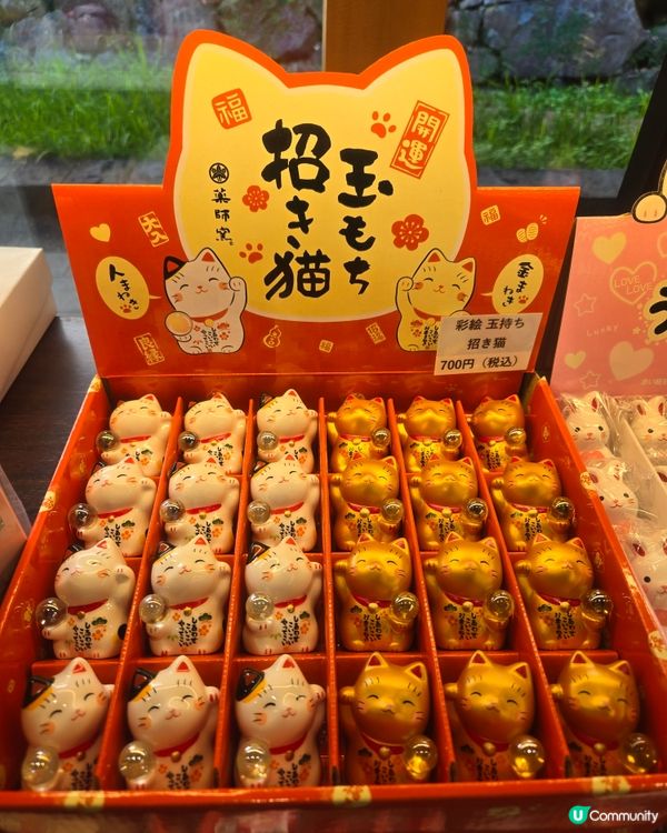 #日本好去處 #日本櫻花 #旅行打卡 #旅行美食 #旅遊行程...