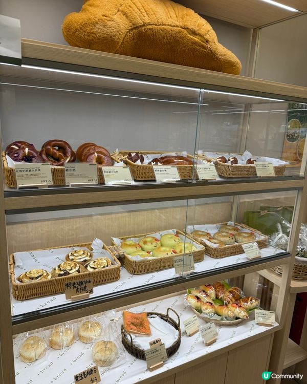 油麻地新店開箱！可愛包包😋！ #油麻地美食