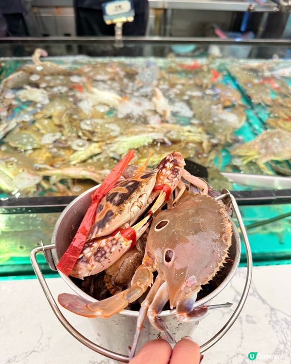 多款海鮮任食火鍋放題