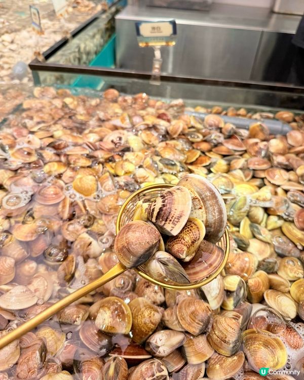 多款海鮮任食火鍋放題