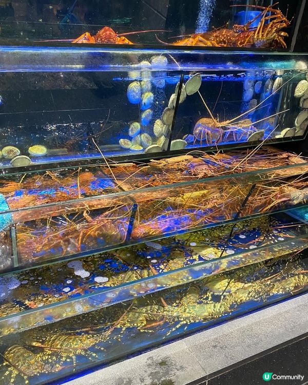 石門➡️➡️➡️彩福皇宴