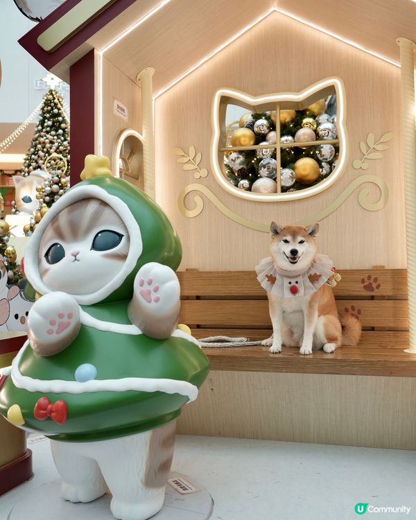 ✨ MOST-Exploring喵喵聖誕探險記🎄 