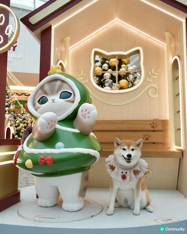✨ MOST-Exploring喵喵聖誕探險記🎄 