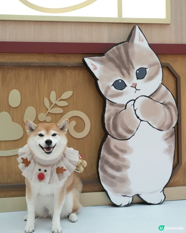 ✨ MOST-Exploring喵喵聖誕探險記🎄 