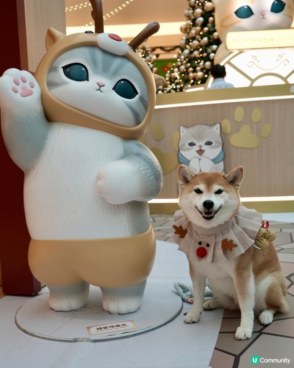 ✨ MOST-Exploring喵喵聖誕探險記🎄 