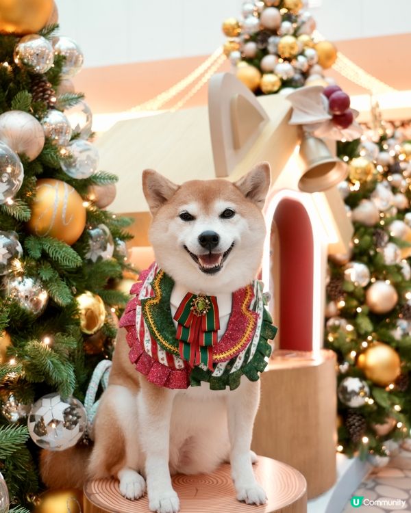 ✨ MOST-Exploring喵喵聖誕探險記🎄 