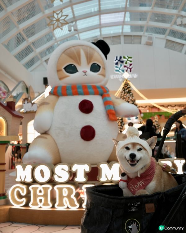 ✨ MOST-Exploring喵喵聖誕探險記🎄 