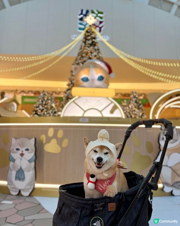 ✨ MOST-Exploring喵喵聖誕探險記🎄 