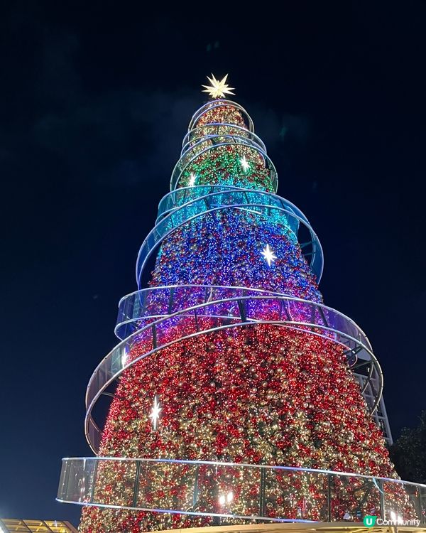 香港繽紛冬日巡禮位於中環皇后像廣場，夜晚聖誕樹打燈好美！
