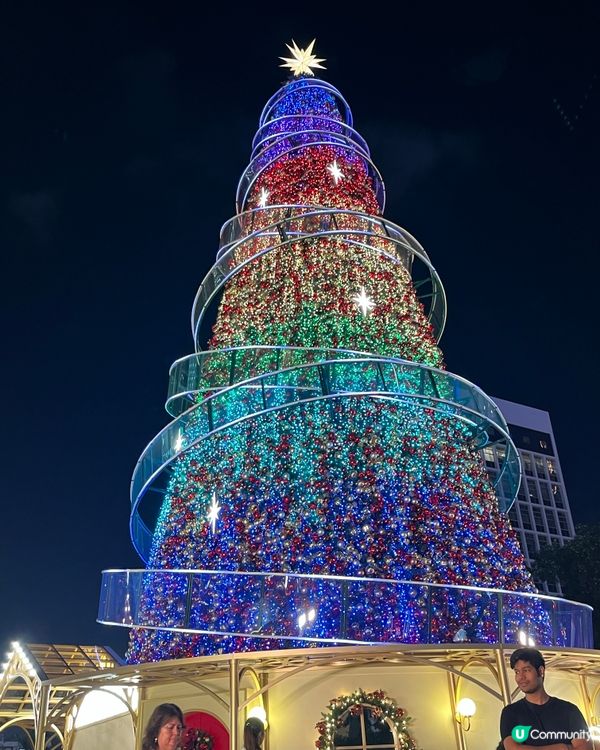 香港繽紛冬日巡禮位於中環皇后像廣場，夜晚聖誕樹打燈好美！