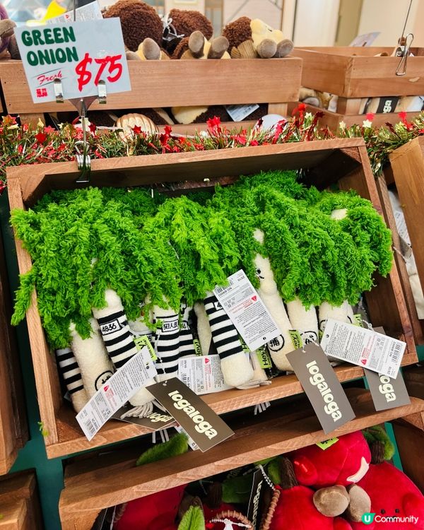 🎄毛公仔快閃店開張！禮物首選🎁