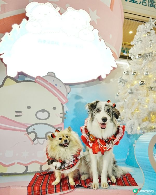 角落生物登陸荷里活廣場