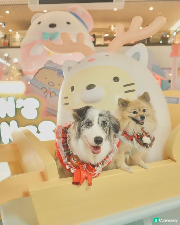 角落生物登陸荷里活廣場