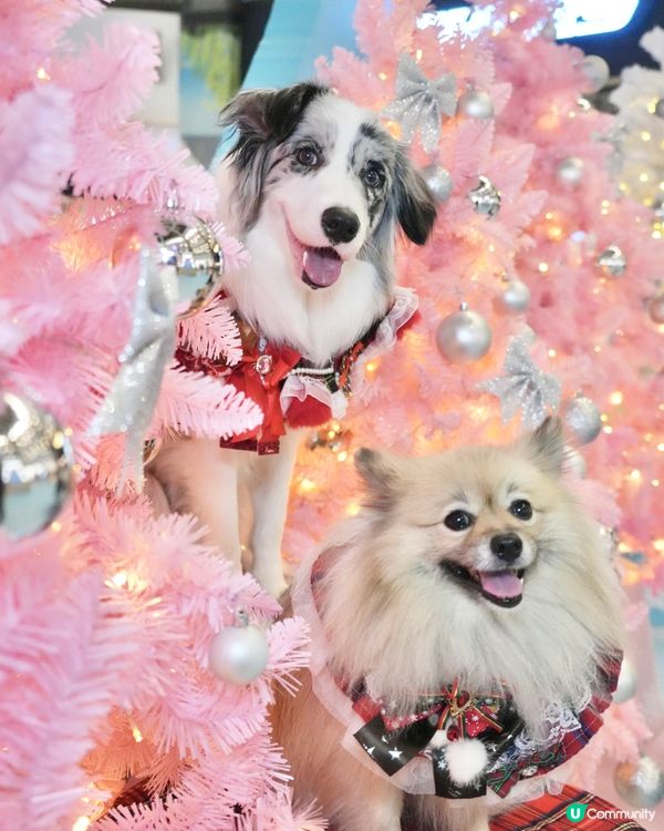 角落生物登陸荷里活廣場