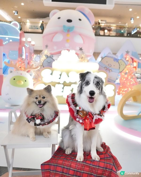 角落生物登陸荷里活廣場