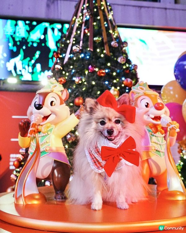 海港城聖誕打卡🎄