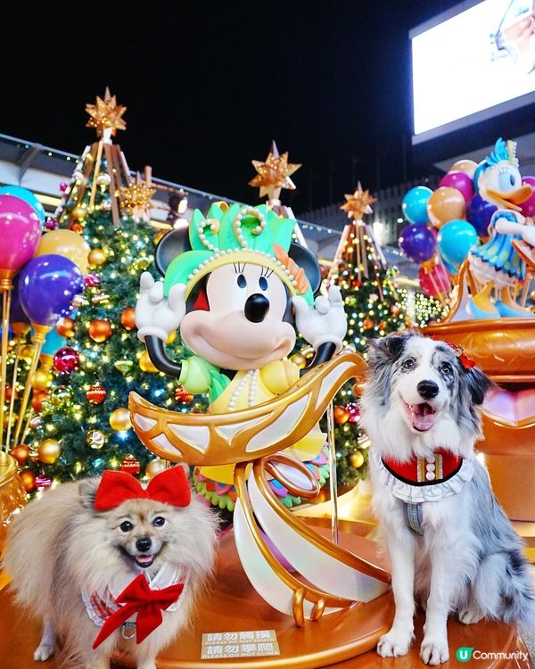 海港城聖誕打卡🎄
