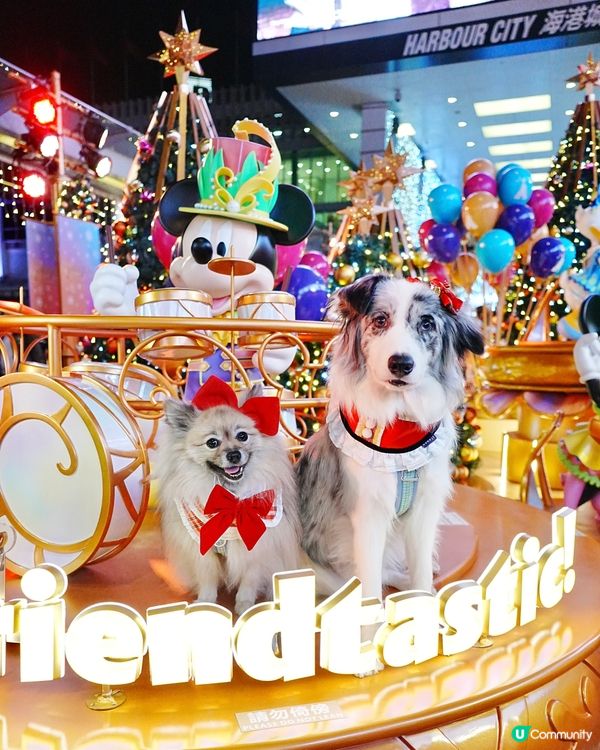 海港城聖誕打卡🎄