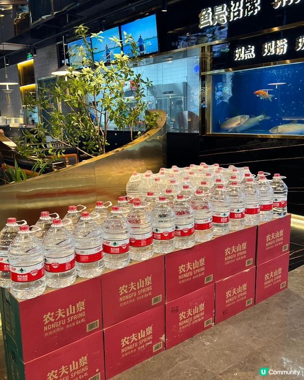 $9.9乳鴿! 魚家王抵食到爆! 🤤