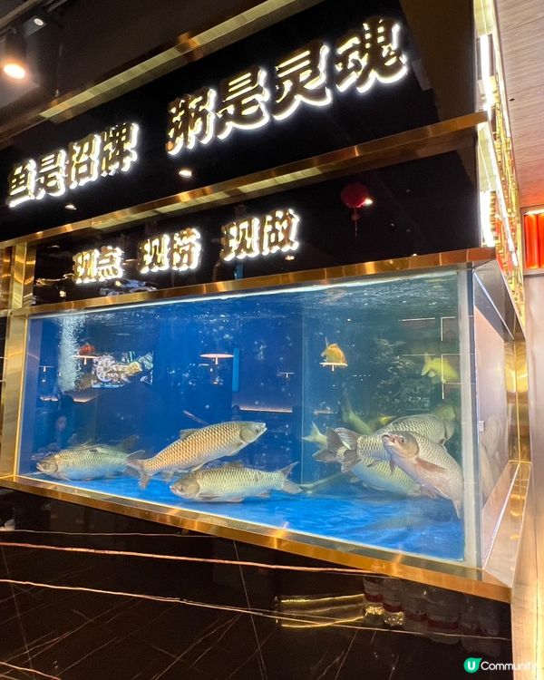 $9.9乳鴿! 魚家王抵食到爆! 🤤