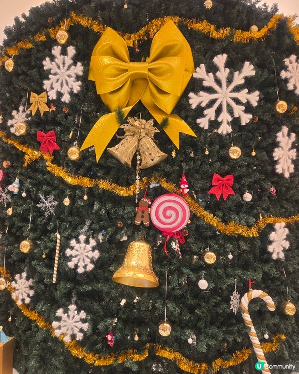 #澳門必食 #澳門必買 #澳門必玩 #澳門打卡 #葡撻 #豬...