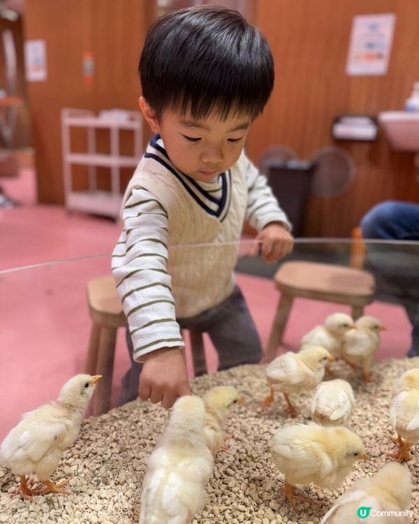 福岡動物Cafe！小朋友放電好去處 🥳