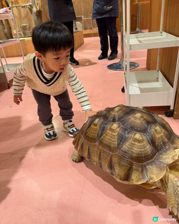 福岡動物Cafe！小朋友放電好去處 🥳